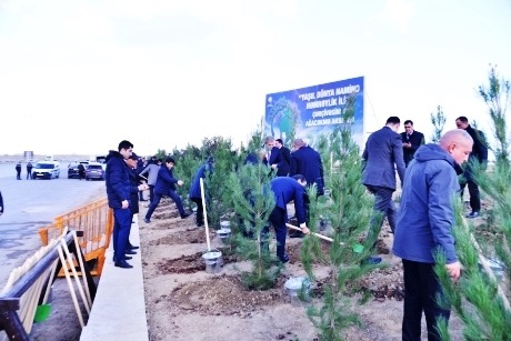 Bakı-Ələt magistral yolunun kənarındakı boş ərazidə ağacəkmə aksiyası keçirilib (FOTO)