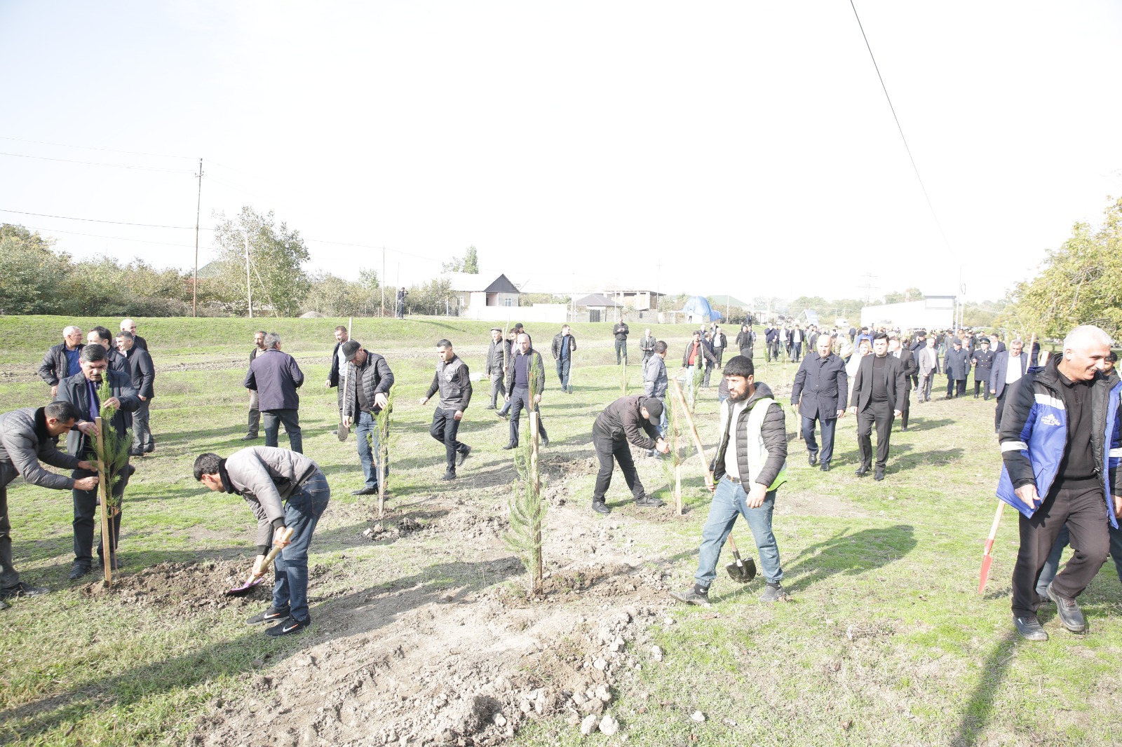 Xaçmazın Çinartala kəndində ağacəkmə aksiyası təşkil olunub (FOTO)