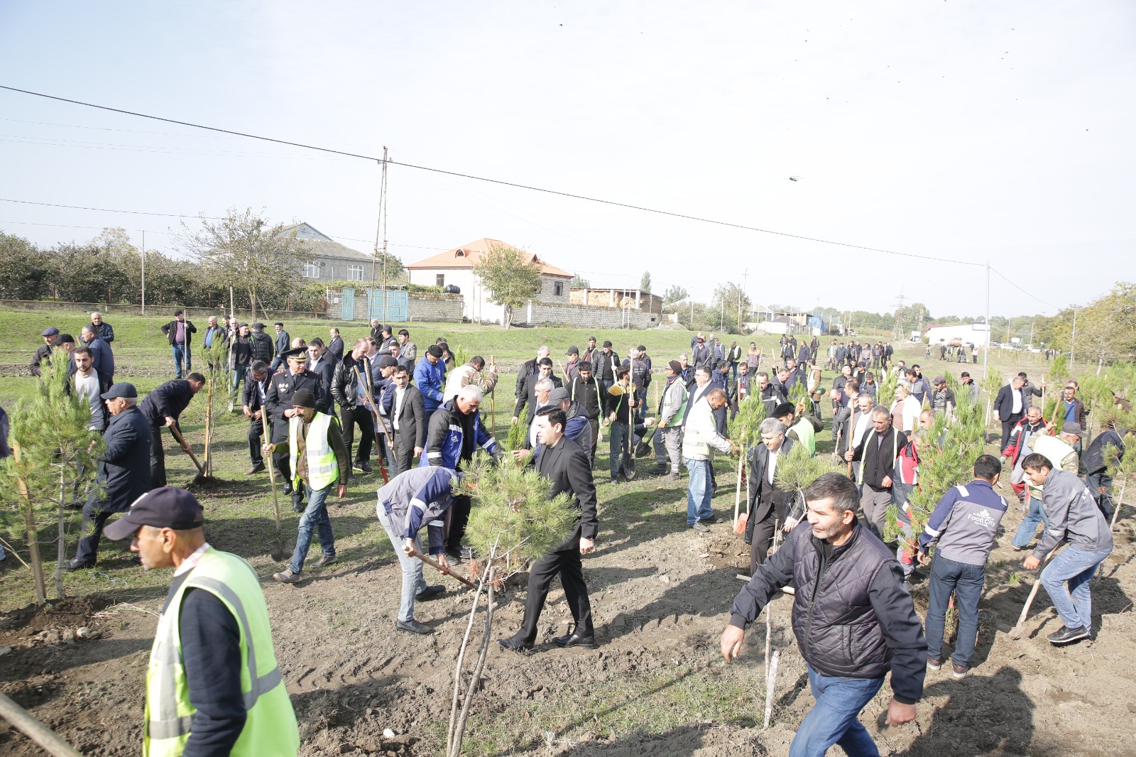 Xaçmazın Çinartala kəndində ağacəkmə aksiyası təşkil olunub (FOTO)