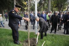 Xaçmaz rayonunda növbəti ağacəkmə aksiyası keçirilib (FOTO)