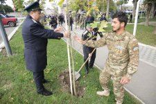 Xaçmaz rayonunda növbəti ağacəkmə aksiyası keçirilib (FOTO)