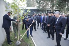 Xaçmaz rayonunda növbəti ağacəkmə aksiyası keçirilib (FOTO)