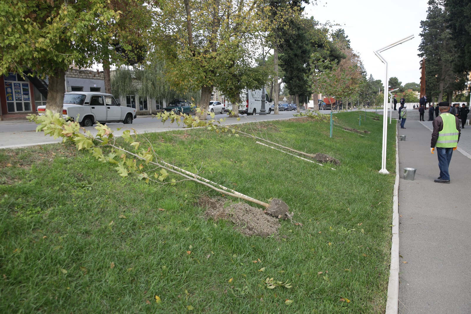 Xaçmaz rayonunda növbəti ağacəkmə aksiyası keçirilib (FOTO)
