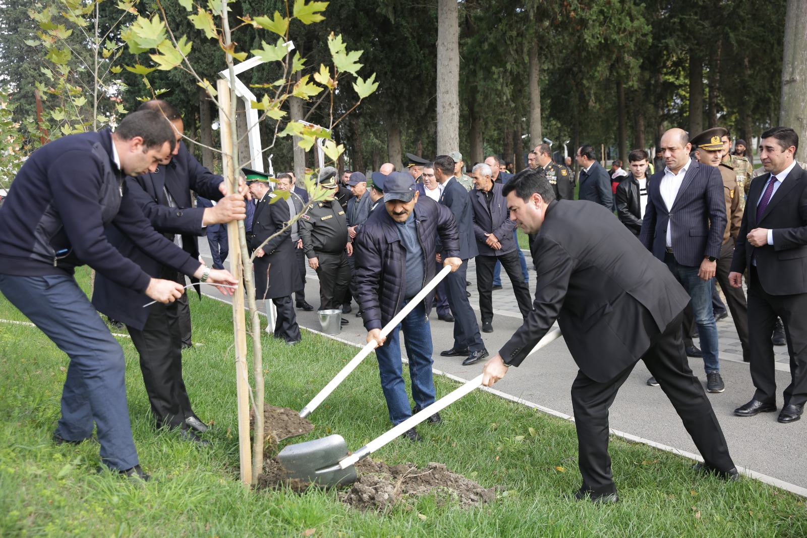 Xaçmaz rayonunda növbəti ağacəkmə aksiyası keçirilib (FOTO)
