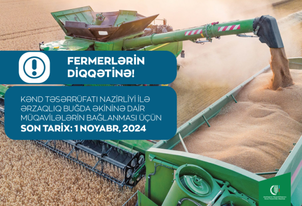 Kənd Təsərrüfatı Nazirliyindən ərzaqlıq buğda istehsalçılarına MÜRACİƏT