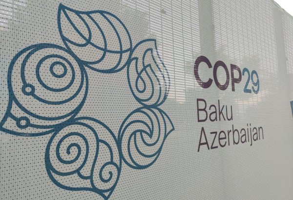 COP29 müddətində Bakı, Sumqayıt və Abşeronda peşə təhsili distant formata keçir