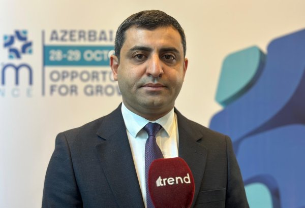Sağlamlıq turizmi Azərbaycanda ən önəmli istiqamətlərdən biridir -  Kənan Qasımov