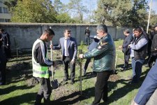 Xaçmazın Hacıəlibəy kəndində səyyar qəbul və ekoloji aksiya keçirilib (FOTO)