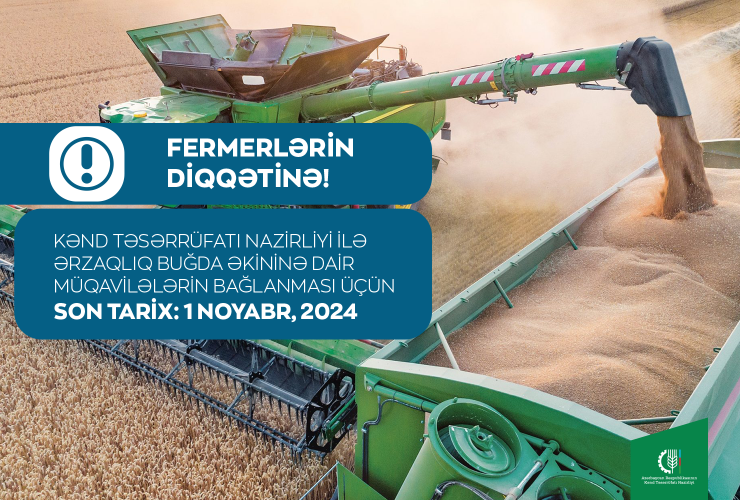 Kənd Təsərrüfatı Nazirliyindən ərzaqlıq buğda istehsalçılarına MÜRACİƏT