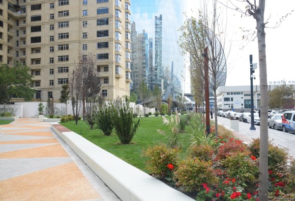 Bakının mərkəzində yeni park salınacaq - 2,4 milyon manat xərclənəcək