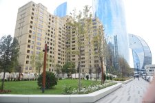 Bakıda yeni salınan parkdan FOTOREPORTAJ
