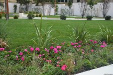 Bakıda yeni salınan parkdan FOTOREPORTAJ