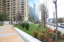 Bakıda yeni salınan parkdan FOTOREPORTAJ