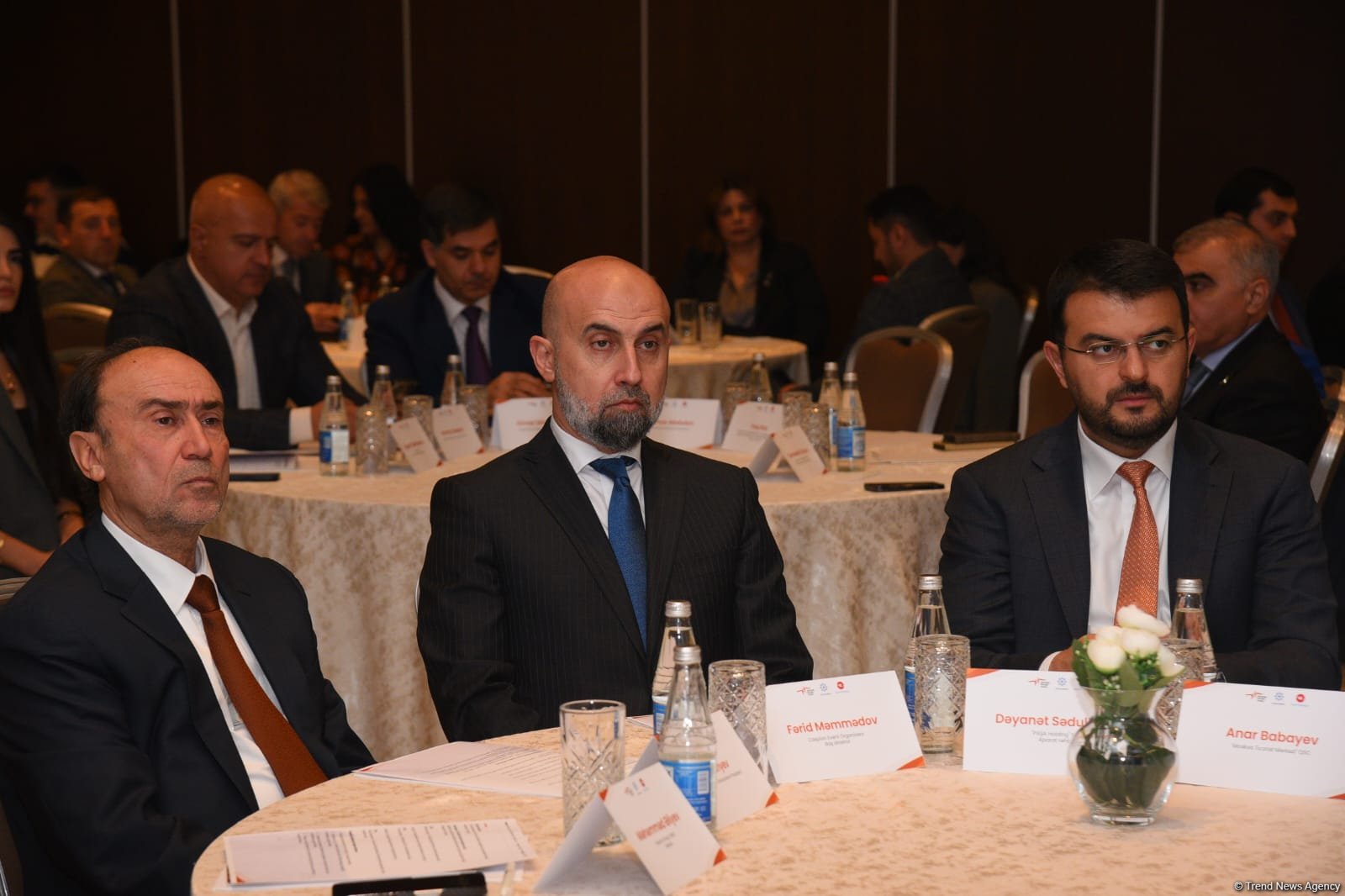 ANAMA-ya üç mianaaxtaran it verilib (FOTO)