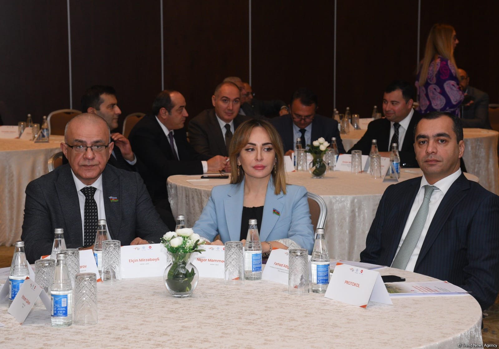 ANAMA-ya üç mianaaxtaran it verilib (FOTO)
