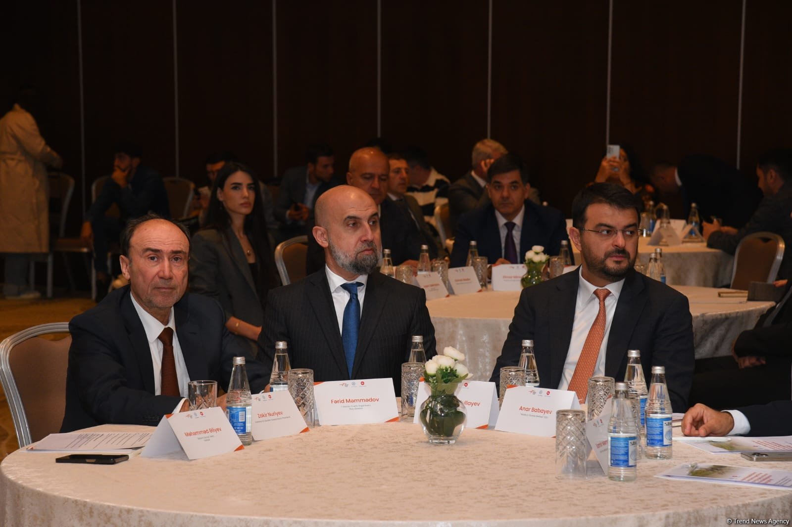 ANAMA-ya üç mianaaxtaran it verilib (FOTO)
