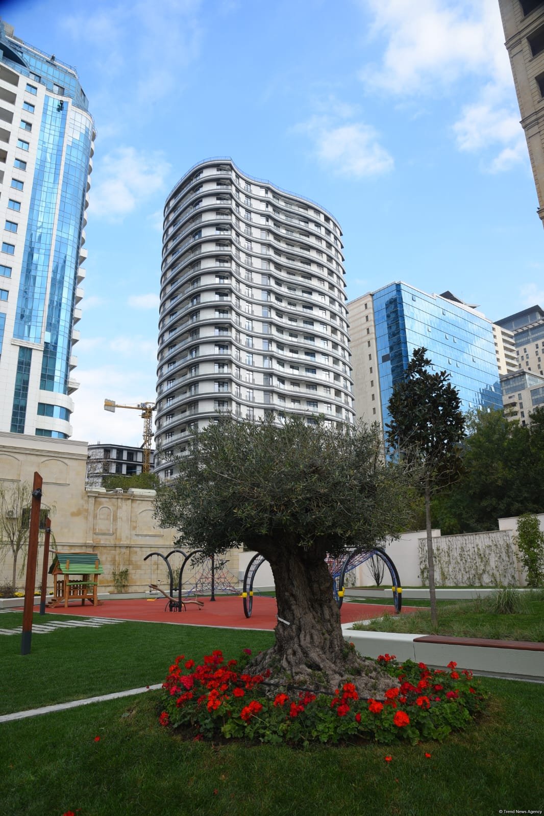 Bakıda yeni salınan parkdan FOTOREPORTAJ