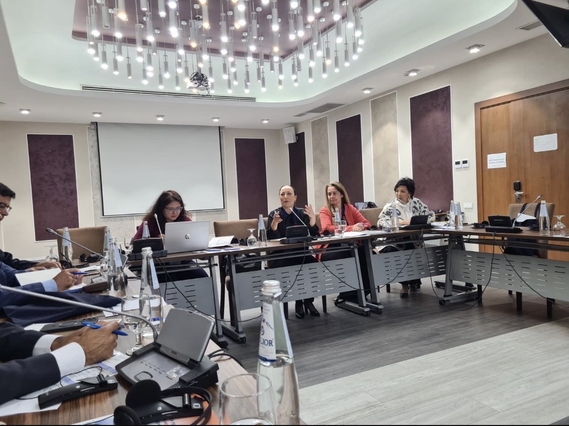 Azərbaycan mədəni sərvətlərin qanunsuz dövriyyəsinə qarşı mübarizəyə həsr olunan seminarda iştirak edib (FOTO)