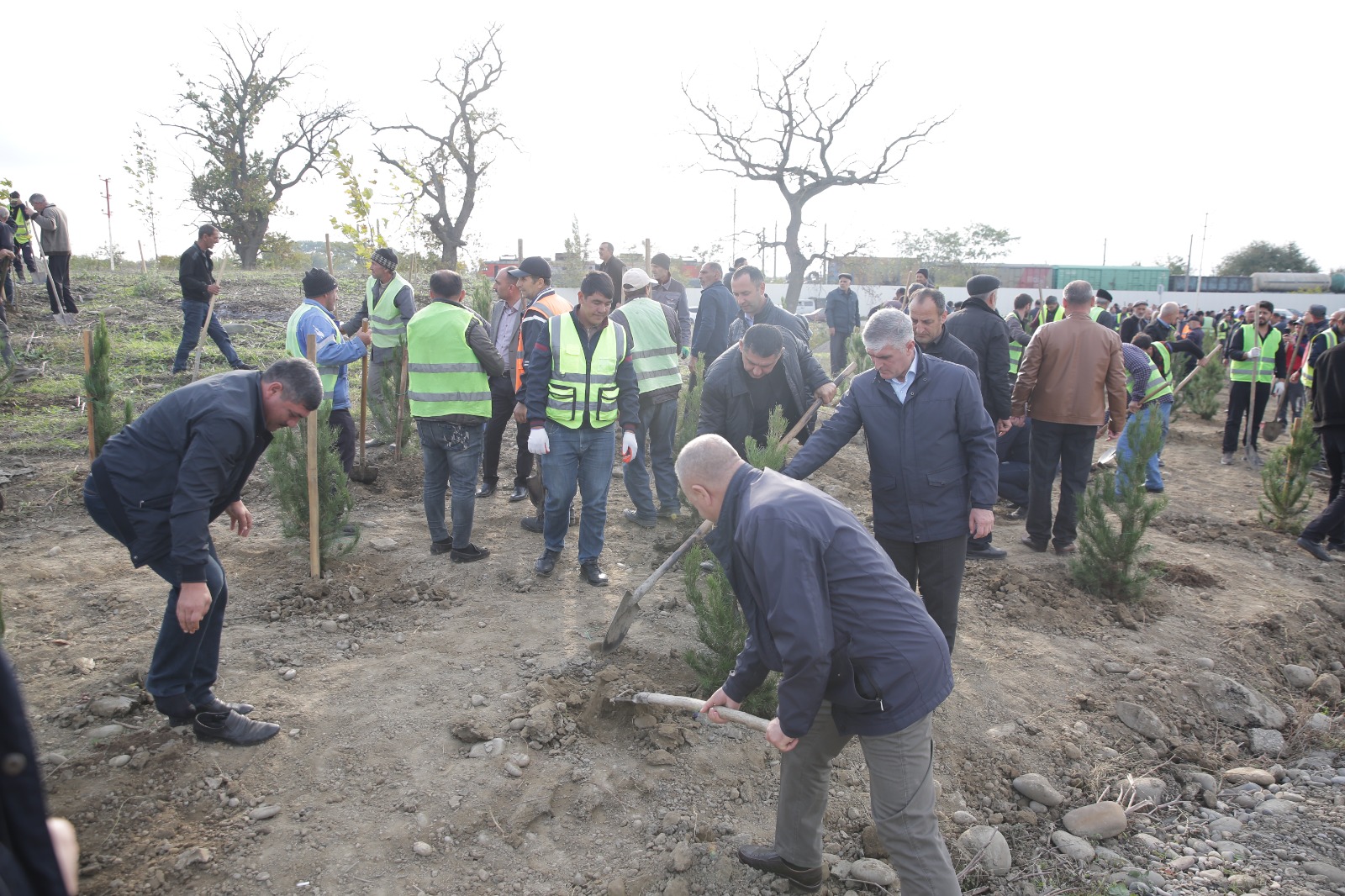 Xaçmazın Xanoba kəndində “Yaşıl dünya naminə həmrəylik ili” çərçivəsində ağacəkmə aksiyası keçirilib (FOTO)
