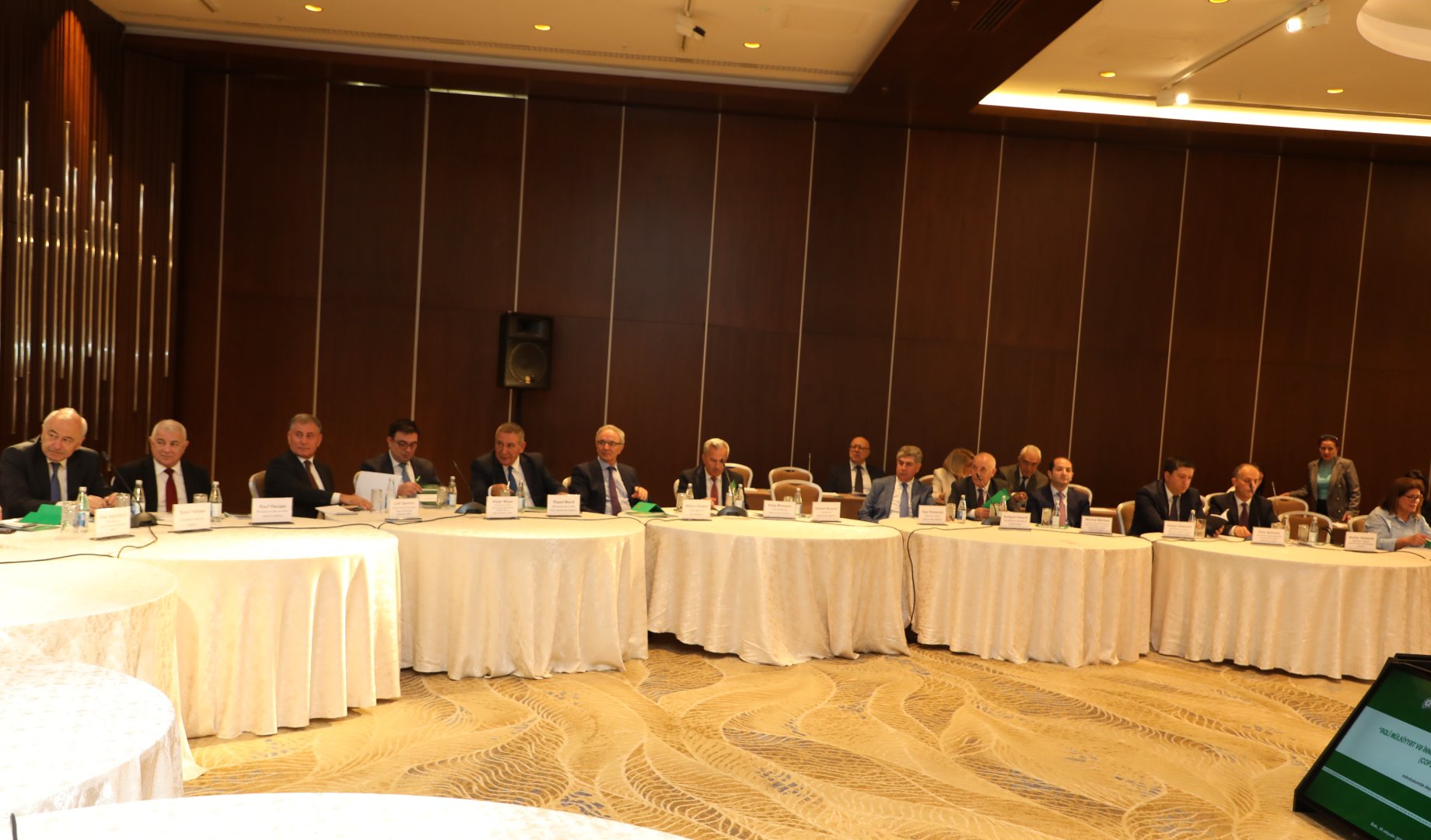 "Əqli mülkiyyət və innovasiyalar yaşıl gələcək naminə" (COP29-a doğru) mövzusunda dəyirmi masa keçirilib (FOTO)