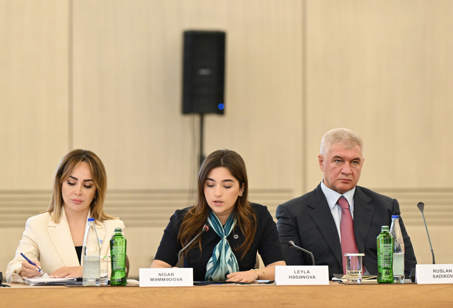 COP29 ilə əlaqədar Təşkilat Komitəsinin səkkizinci iclası keçirilib (FOTO)