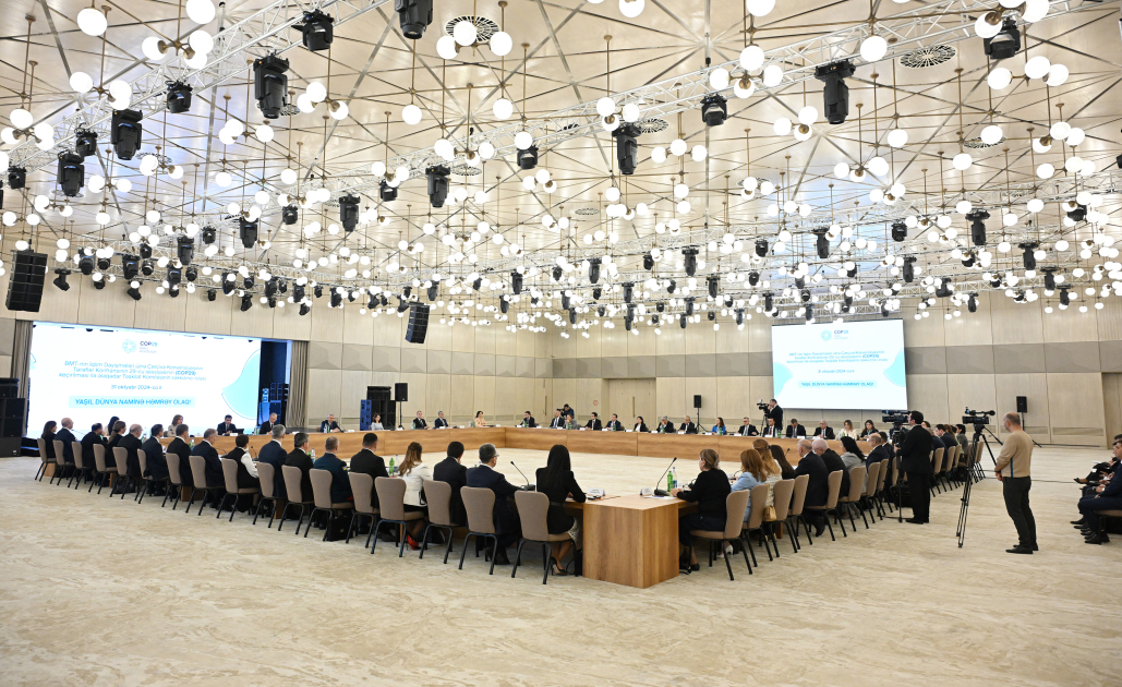 COP29 ilə əlaqədar Təşkilat Komitəsinin səkkizinci iclası keçirilib (FOTO)