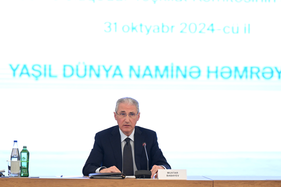 COP29 ilə əlaqədar Təşkilat Komitəsinin səkkizinci iclası keçirilib (FOTO)