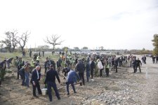 Xaçmazın Xanoba kəndində “Yaşıl dünya naminə həmrəylik ili” çərçivəsində ağacəkmə aksiyası keçirilib (FOTO)