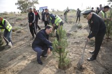 Xaçmazın Xanoba kəndində “Yaşıl dünya naminə həmrəylik ili” çərçivəsində ağacəkmə aksiyası keçirilib (FOTO)