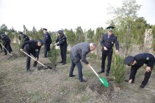 Xaçmazın Xanoba kəndində “Yaşıl dünya naminə həmrəylik ili” çərçivəsində ağacəkmə aksiyası keçirilib (FOTO)
