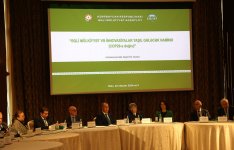 "Əqli mülkiyyət və innovasiyalar yaşıl gələcək naminə" (COP29-a doğru) mövzusunda dəyirmi masa keçirilib (FOTO)