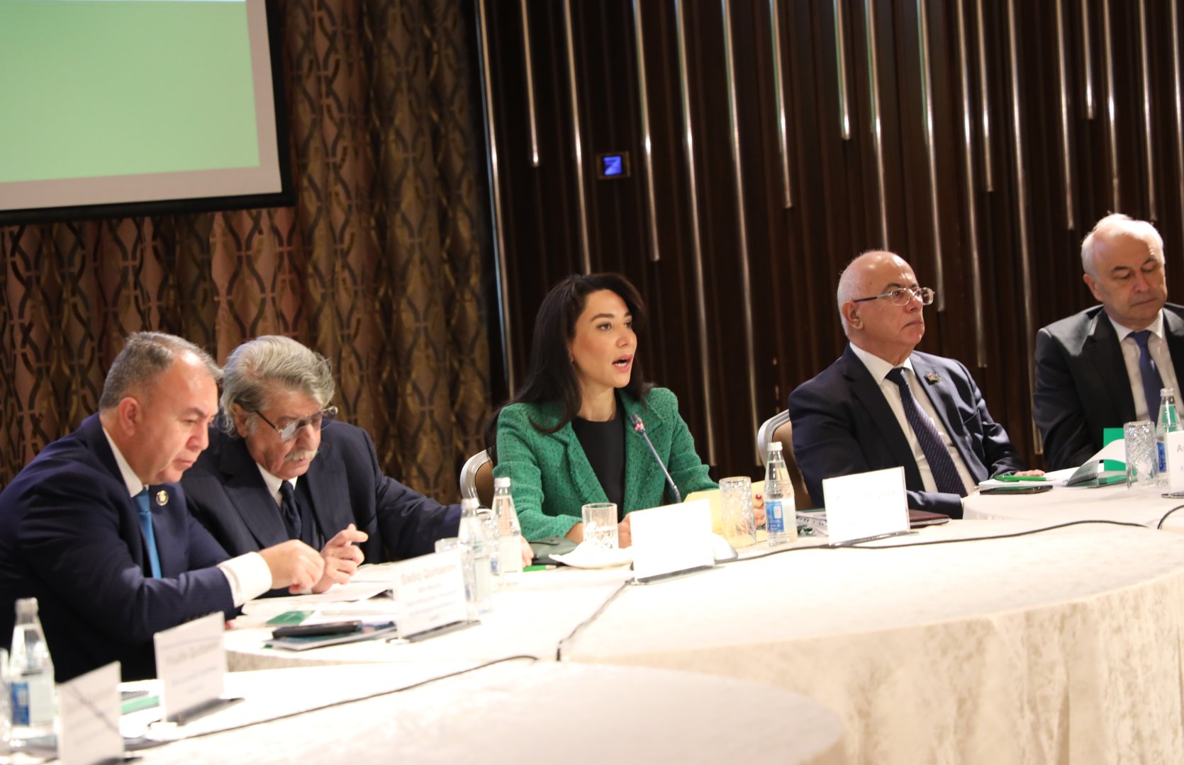 "Əqli mülkiyyət və innovasiyalar yaşıl gələcək naminə" (COP29-a doğru) mövzusunda dəyirmi masa keçirilib (FOTO)