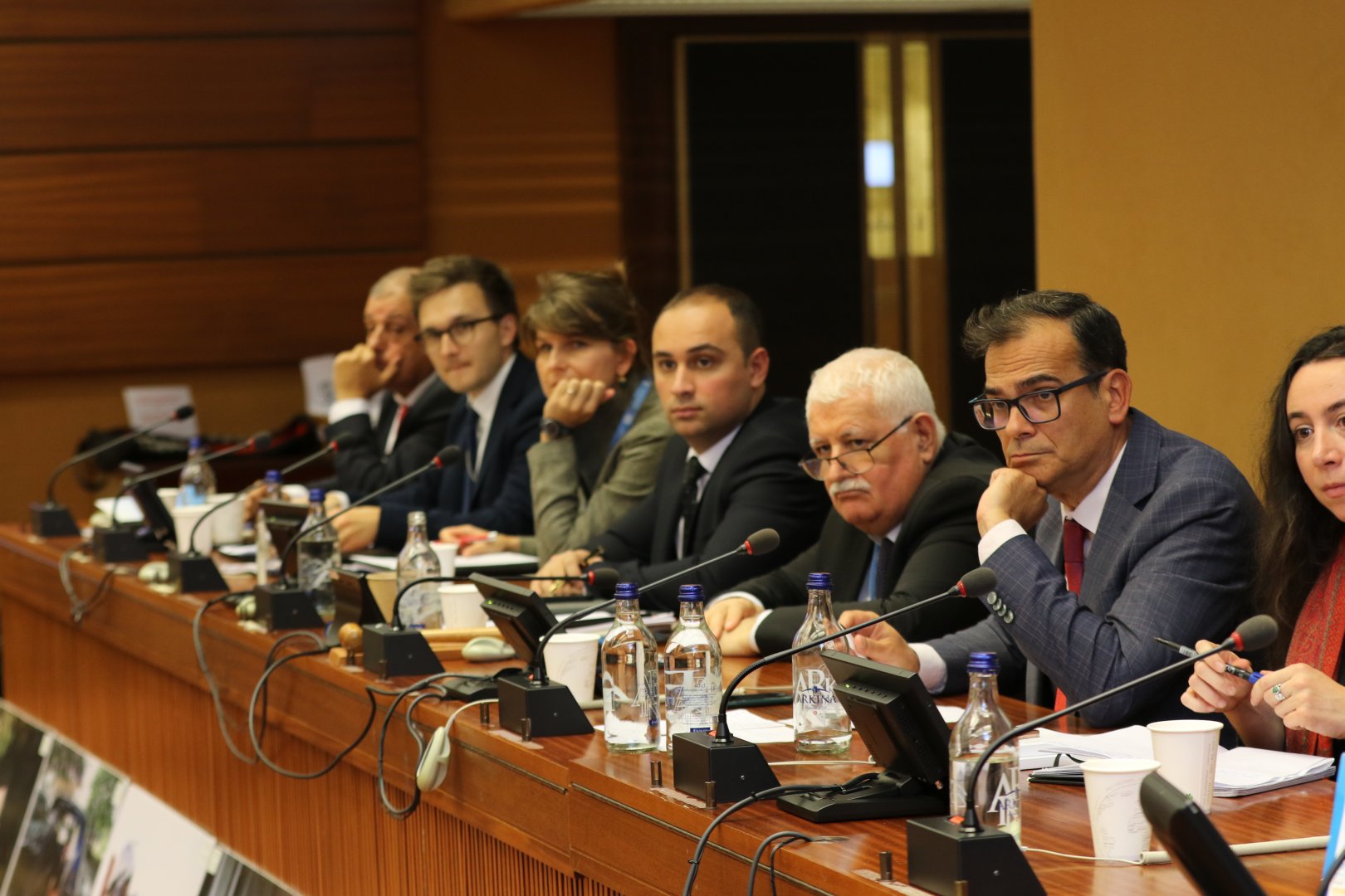BMT-nin Cenevrə ofisində mina problemi bağlı yan tədbir keçirilib (FOTO)
