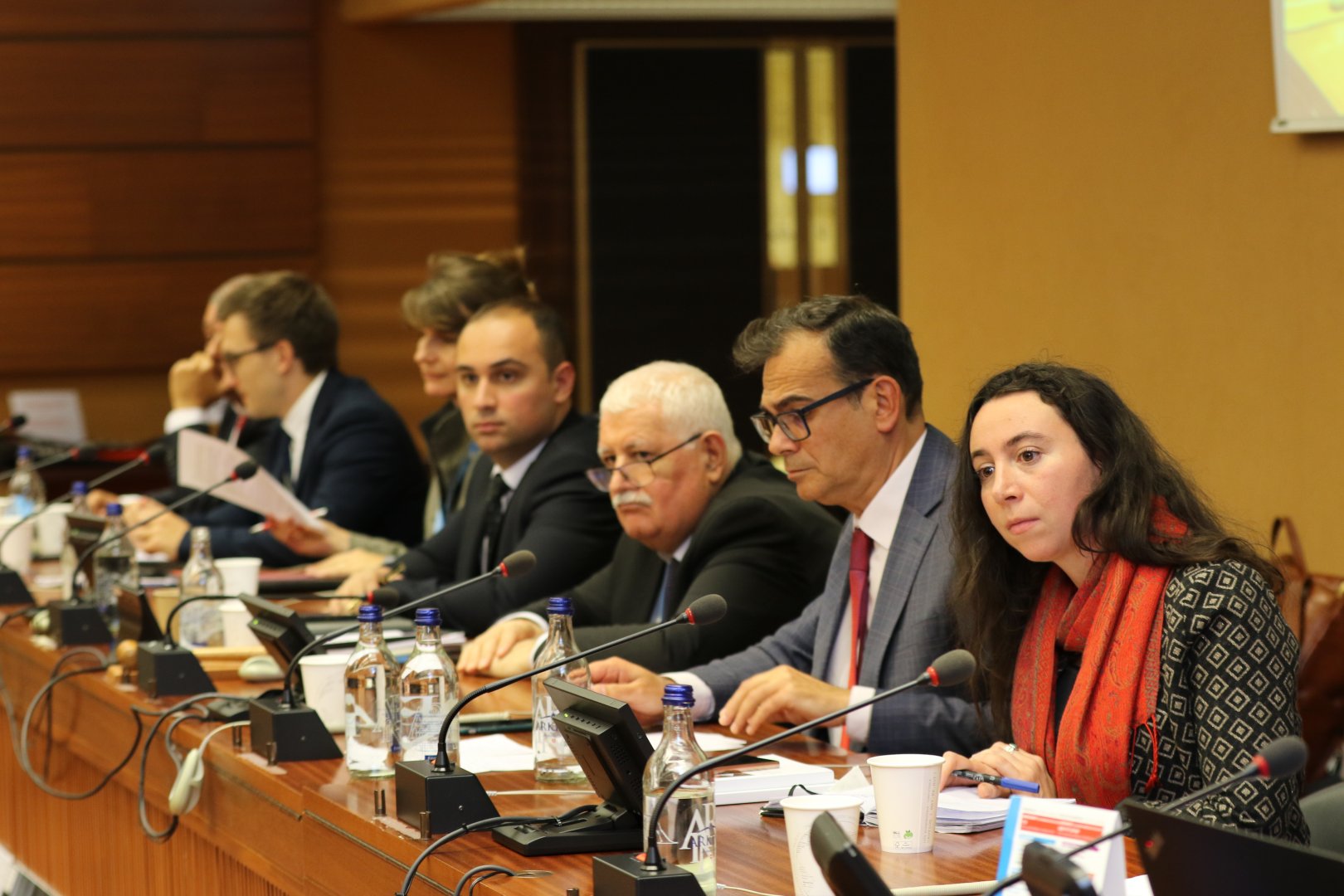 BMT-nin Cenevrə ofisində mina problemi bağlı yan tədbir keçirilib (FOTO)