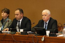 BMT-nin Cenevrə ofisində mina problemi bağlı yan tədbir keçirilib (FOTO)