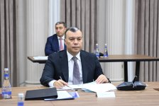 İqtisadi Şuranın növbəti iclası keçirilib (FOTO)