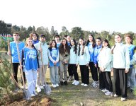 Heydər Əliyev Fondunun vitse-prezidenti Leyla Əliyevanın iştirakı ilə Sabunçu rayonunda ağacəkmə aksiyası keçirilib (FOTO)