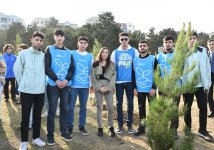 Heydər Əliyev Fondunun vitse-prezidenti Leyla Əliyevanın iştirakı ilə Sabunçu rayonunda ağacəkmə aksiyası keçirilib (FOTO)