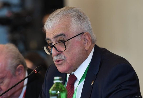 Dünyada cəmi 2 lider var: Rəcəb Tayyib Ərdoğan və İlham Əliyev - Şamil Ayrım