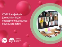 “Nar”ın dəstəyi ilə ekologiya mövzusunda jurnalistlərə beynəlxalq təlim keçirilib (FOTO)