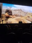 “Xarıbülbül əfsanəsi” sənədli filmi Parisdə Rex kinoteatrında nümayiş olunacaq (FOTO/VİDEO)