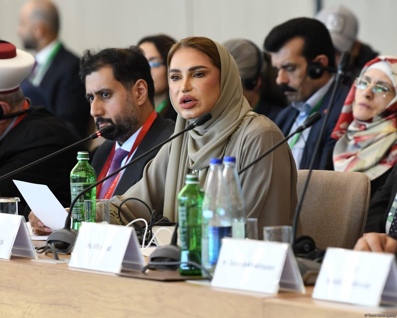 Azərbaycan tolerantlığın məkanıdır - Afra Al Saabri