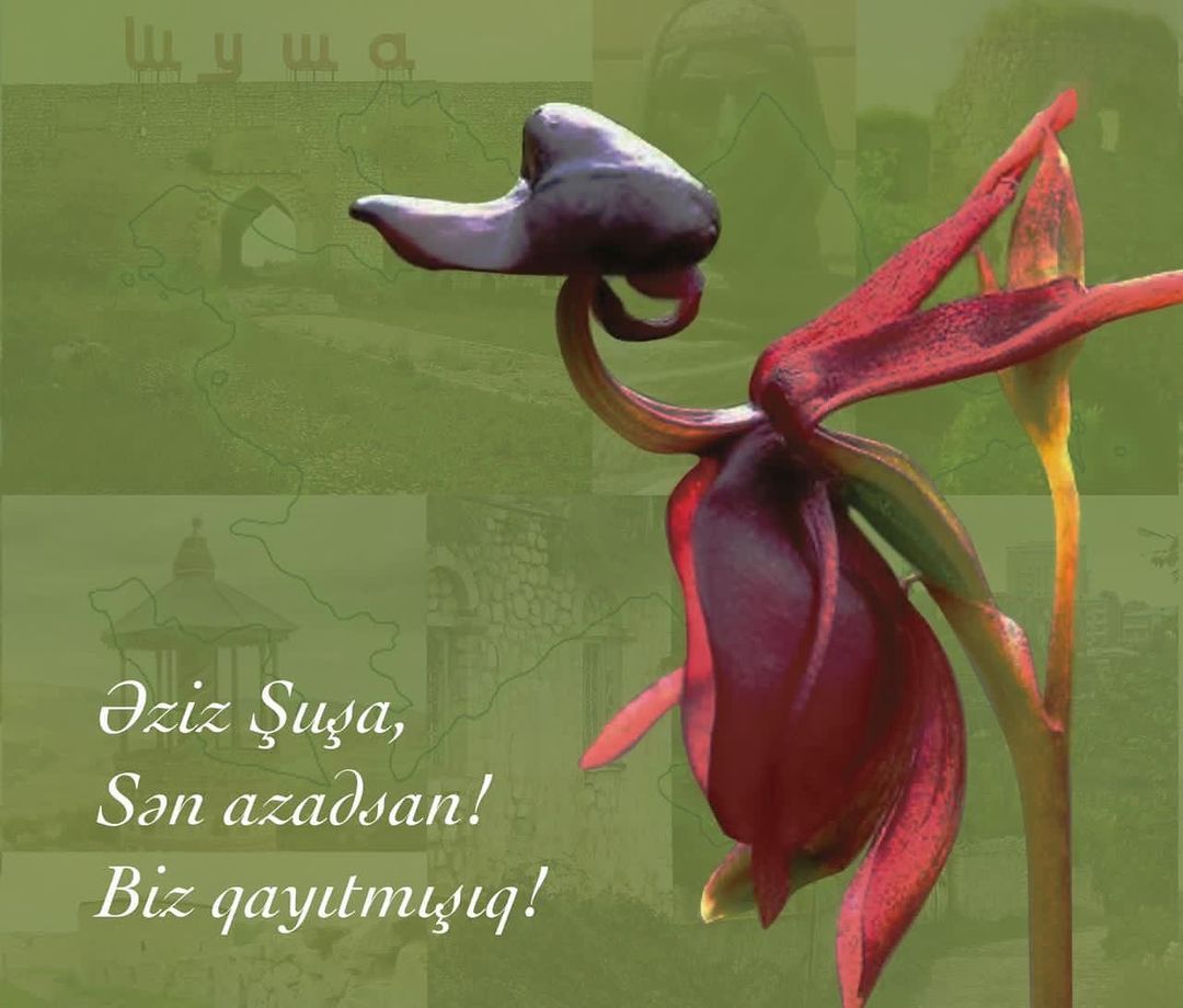 Zəfər xronikası. 8 noyabr 2020-ci il: Birinci vitse-prezident Mehriban Əliyeva Şuşa şəhərinin işğaldan azad edilməsi münasibətilə paylaşım edib (FOTO)