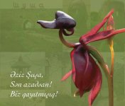 Zəfər xronikası. 8 noyabr 2020-ci il: Birinci vitse-prezident Mehriban Əliyeva Şuşa şəhərinin işğaldan azad edilməsi münasibətilə paylaşım edib (FOTO)