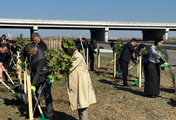 Füzulidə Zəfər Günü ilə əlaqədar ağacəkmə aksiyası keçirilib (FOTO)