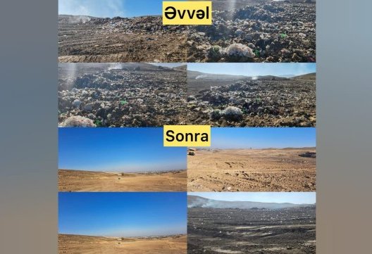 Qazaxda ətraf mühiti çirkləndirənlər cəzalandırılıb
