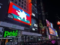 Nyu Yorkda Zəfər Günü və Dövlət Bayrağı Gününə həsr olunan məlumatlandırma aksiyası keçirilib (FOTO)