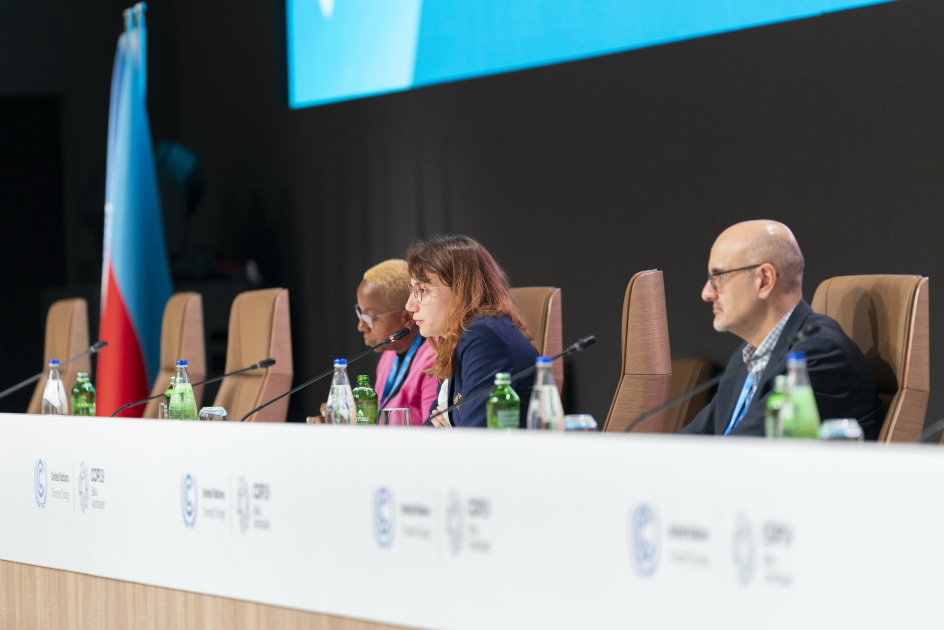 COP29 qlobal iqlim konfransı ərəfəsində nümayəndə heyətləri üçün logistik brifinq keçirilib (FOTO)