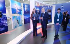 Heydər Əliyev Fondunun vitse-prezidenti Leyla Əliyeva və Bakı Media Mərkəzinin rəhbəri Arzu Əliyeva Dəniz Növlərinin Beynəlxalq Müdafiəsi layihəsinin təqdimatında iştirak ediblər (FOTO)