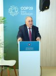BAMF COP29-da iqlim böhranına qarşı QHT-lərin rolu mövzusunda konfrans təşkil edib (FOTO)
